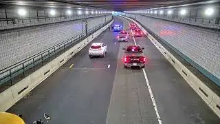 Dog Rescued From Inside Boston's Ted Williams Tunnel