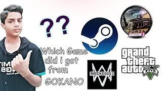 Which Game did i got on Steam from GOKANO for free