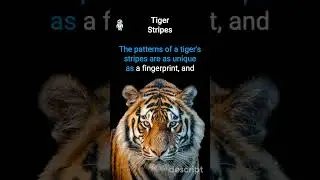 🐯 Tiger Stripes  #sciencefacts #shorts