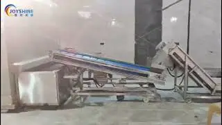 1 Ton/hr French Fries Line &mdash; Full Processing with Potatoes