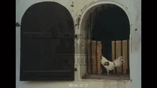 Colonial Architecture in Indonesia, 1970s - Archive Film 1053493