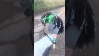 Vlog balade avec seven 