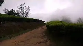 Megamalai Bike ride... #RideAboveTheClouds