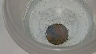 Removing that green corrosion off a wheat cent