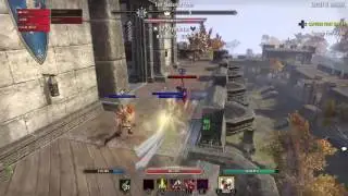 Eso Stam Nb v x featuring Morgul Gaming & Leakhs ps4