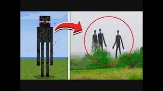 Minecraft Mobs Spotted in Real Life