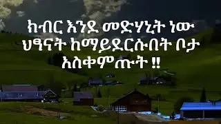 SENAYI Tube is live