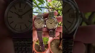 HMT Tareeq watches for Sale