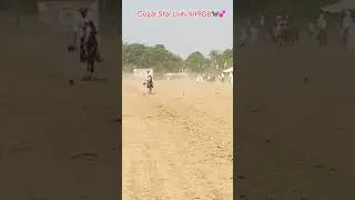 Nazabazi🐎💙💕🌹❤️🖤 #horse #nazabazi #answer #desibreed #gujjar #horseriding