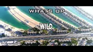 silento WILD(Lyric  video ) New song
