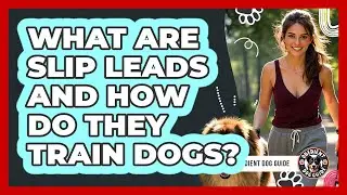 What Are Slip Leads And How Do They Train Dogs? - Obedient Dog Guide