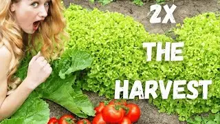 10 Simple Ways to Double Vegetable Garden Yields #permaculturegarden #gardeningtips
