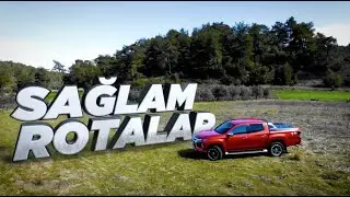 SAĞLAM ROTALAR: DAVRAZ DAĞI & KASNAK MEŞESİ ORMANI