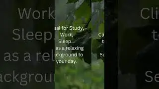 Fall Asleep Faster with 3 Hours of Soothing Rain Sounds for Relaxation and Focus | #StressRelief