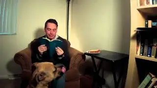 Atheist Pet Care - Heathens with a heart.