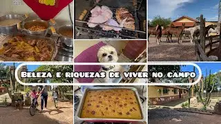 Nosso dia na fazenda /Novos integrantes + almoço e churrasco em família/ Bolo de cenoura para o café