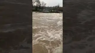 kinzig