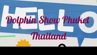 Hello Thailand! 🇹🇭 (Dolphin Show Edition)🐬🌊| FunRockets