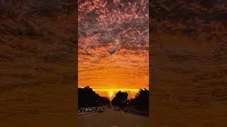 Sunset Diaries 🌅 | Breathtaking Views & Peaceful Moments Captured #naturelovers #trendingshorts