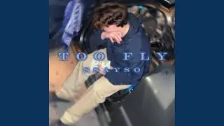 Too Fly