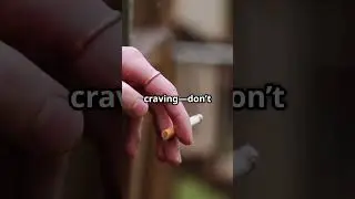 How to stop smoking the stoic way #health #smokingkills #smokerstatus #smoker #cigarette_lover