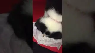 #cutebaby #loveisintheair #showlovenothate