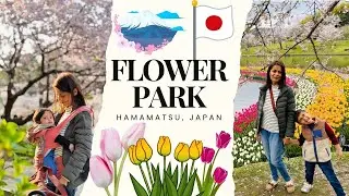 🇯🇵Japan Travels : Flower Park , Hamamatsu | Cherry Blossoms & Tulips 🌷 | Kavya Kainth