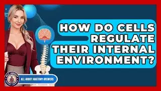 How Do Cells Regulate Their Internal Environment? - All About Anatomy Answers