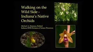 Walking on the Wild Side -- Indiana's Native Orchids