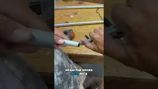 Установите световую ловушку для моллюсков