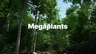 Introducing Quixel Megaplants  now on Quixel