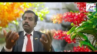 EXPORT LOW BUDGET PRODUCTS - For Export(Training and Consulting & Company Setup) GaLAXY -9367423299