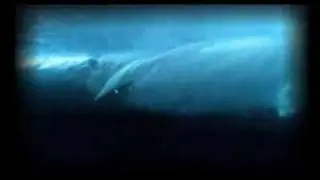 Legends of the surf: Episode 1