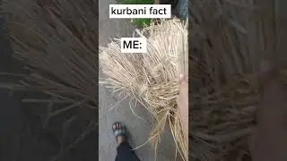 Kurbani fact...........#facts  #relatable #eid #reels #shorts #fact #share #funny #day
