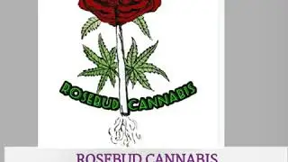 RoseBud Cannabis media sponsor de LC Virtual Meet Up