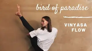 Vinyasa Yoga Flow | Bird of Paradise Hüftöffnung, Kräftigung und Flexibilität | Power Flow