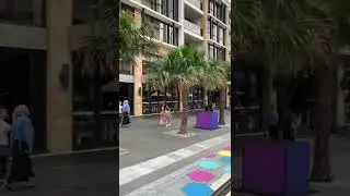 Standing on the completion of Parramatta&rsquo;s major light rail construction, &lsquo;Eat Street&rsquo;, Sydney