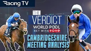 The Verdict - just how good is Wise Approach?
