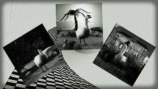 Liminal Gallery - KenForest Surreal Where You Project Pictures Into the World of Cute Geese