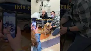 Therapy dog visits the Children's Hospital 💛🎗️