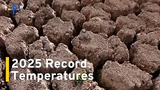 2025 Sets Record Regional Temperatures｜TaiwanPlus News
