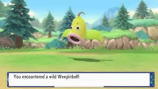 Full odds Weepinbell found while chaining with Pok&eacute; Radar!