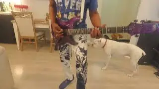 My Schecter Apocalypse Purple Reign Active C1 F/R/S