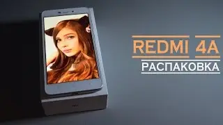 Xiaomi Redmi 4A. GOLD. Ламповый и няшный смартфон.