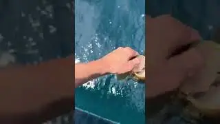 That did not go as planned 🤦🏽&zwj;♂️#tackleexpress #fishing #fishingtackle #catchandrelease #fail