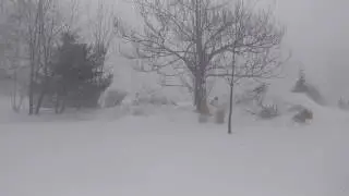 Snowpocolypse