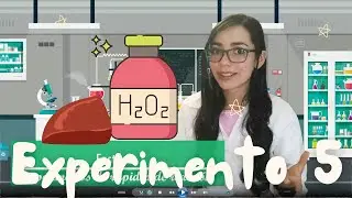 👩‍🔬🧑‍🔬 Experimento 5: Catalaza 🍗