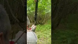 3d Wolf Target - Win&Win Black Wolf Recurve Bow.