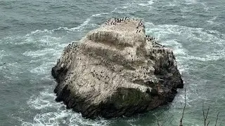 Point Reyes Day Trip