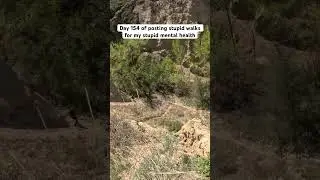 Day 154 Of Hiking for my stupid mental health